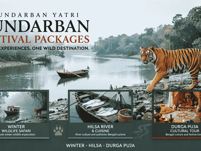 Sundarban Yatri festival packages promotional banner showing a mangrove river, a small boat, a tiger on the riverbank, and three panels for Winter wildlife safari, Hilsa river and cuisine, and Durga Puja cultural tour.