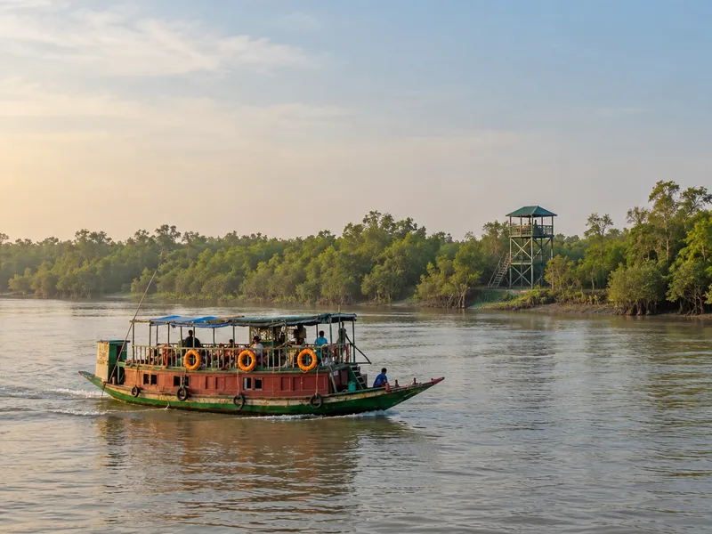 Safari boat travelling along a tidal waterway in the Sundarbans, with a forest watchtower and mangrove forest in the background.